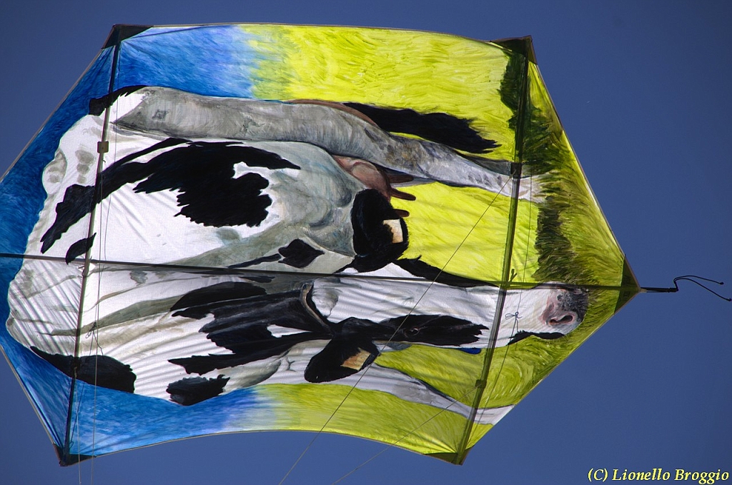 32 FESTIVAL CERVIA 2012 - 229.jpg